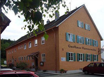 Landgasthof-Hotel Hammermuehle Donaustauf Exteriér fotografie